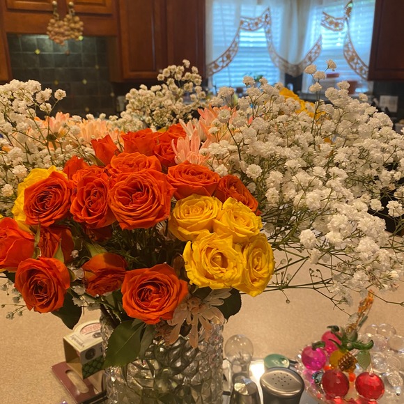 Meet your Posher, Beverly - Picture 1 of 1